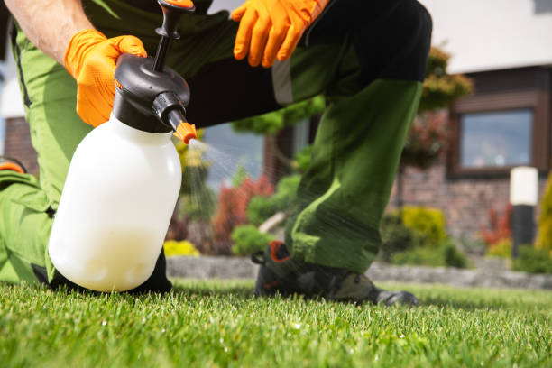 Lawn Pest Control in Garwood, NJ